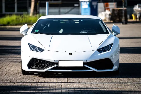 Казино Догс Форчън Android/iOS приложение